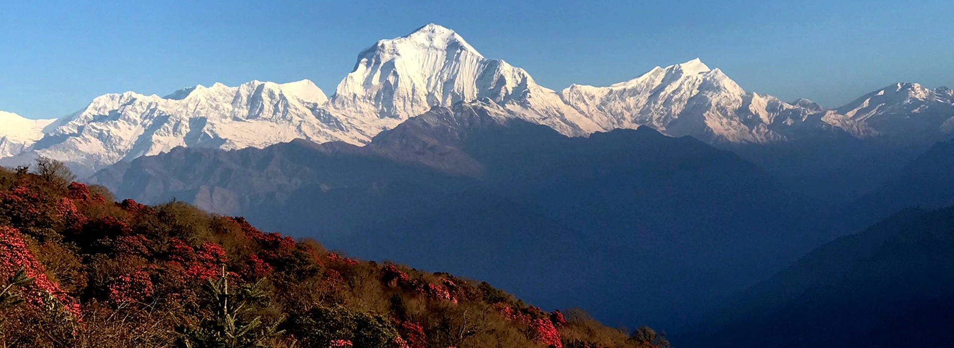 dhaulagiri-trekking